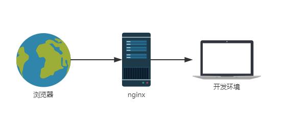 HTTPS 利用 Nginx 反向代理，实现远程调试本地代码 - 文章图片
