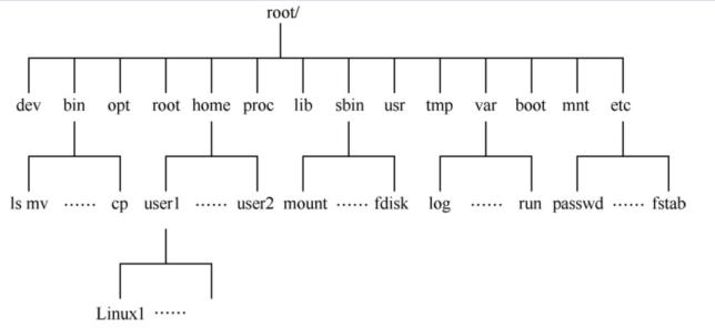 Linux目录结构详解（最全最详细版） - 文章图片