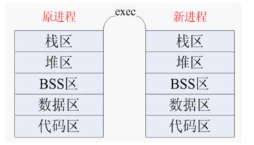 linux-进程的替换exec函数族 - 文章图片