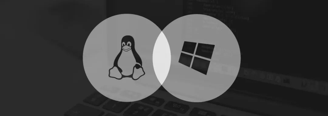Linux发行版遭像素级美化,Win10老用户有如“回家”的感觉 - 文章图片