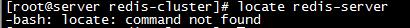 whereis搜索redis服务执行文件 - 文章图片