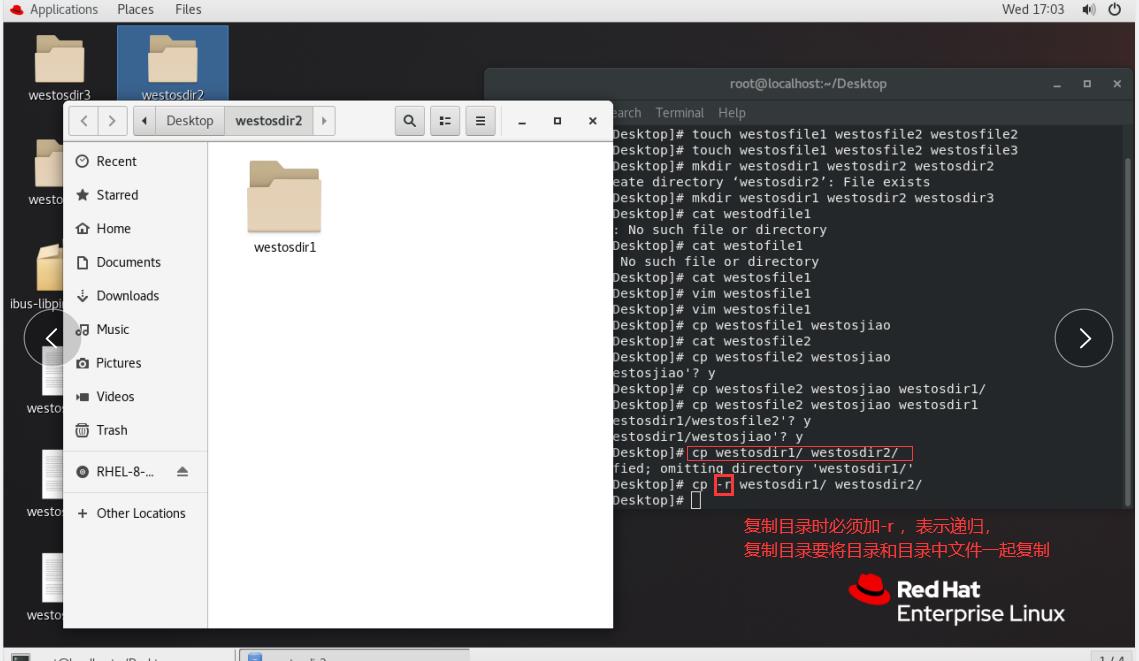 Linux下 cp 复制命令， mv移动命令，file查看文件类型命令，wc文件容量统计命令 - 文章图片