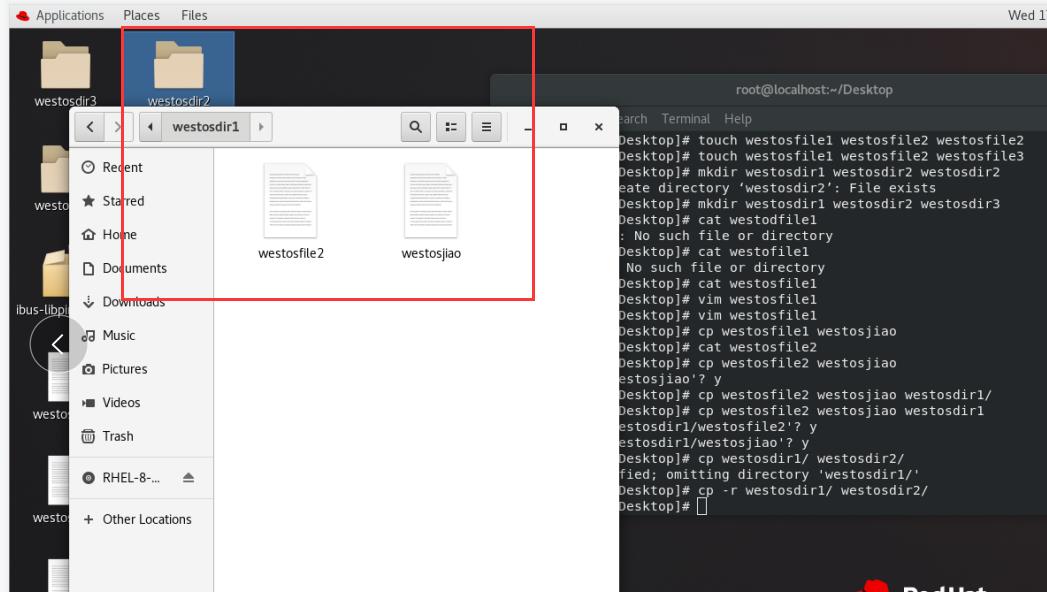 Linux下 cp 复制命令， mv移动命令，file查看文件类型命令，wc文件容量统计命令 - 文章图片