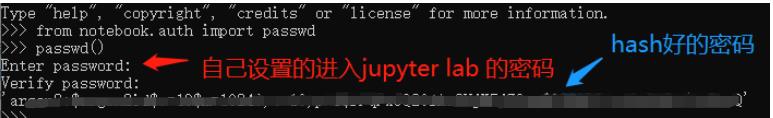 linux服务器搭建之（三）：在服务器上配置jupyter lab - 文章图片