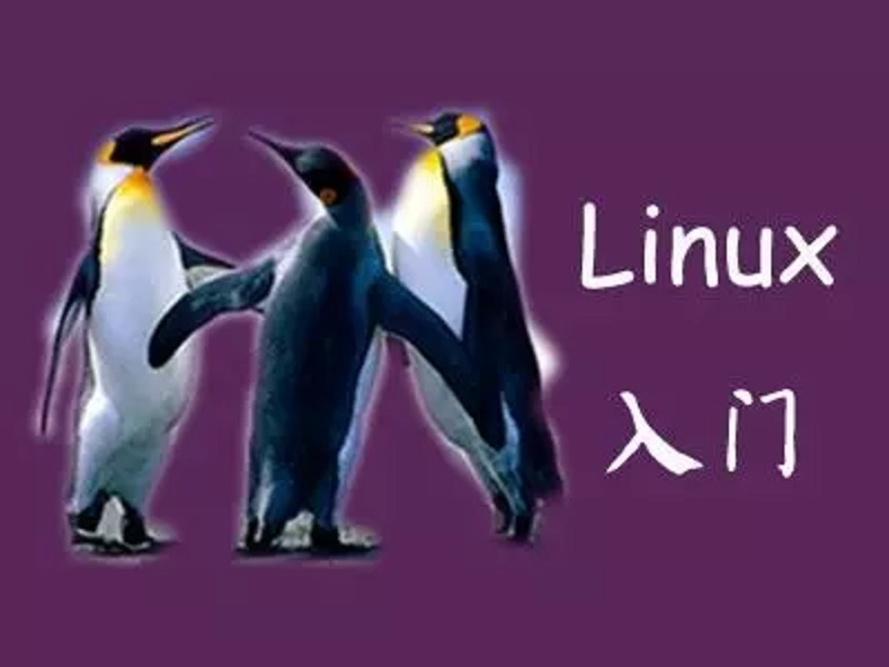 Linux里find命令与cp命令的连用 - 文章图片