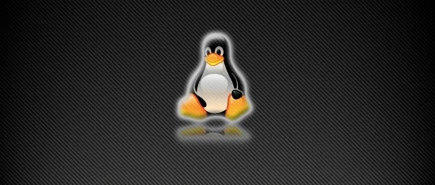 每天学一个 Linux 命令（29）：tail - 文章图片