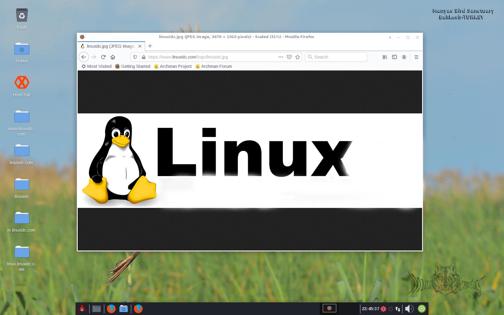 Archman GNU/Linux 