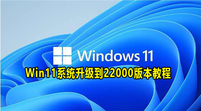 Win11系统升级到22000版本教程