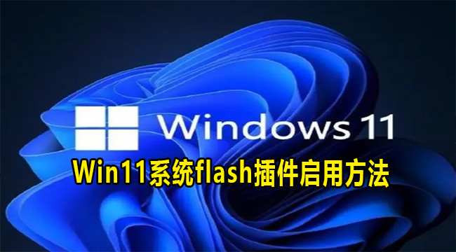 Win11系统flash插件启用方法