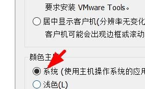 VMware设置虚拟机主题颜色步骤分享