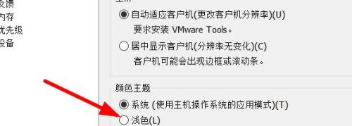 VMware设置虚拟机主题颜色步骤分享