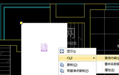 迅捷CAD编辑器插入OLE对象的图文操作截图
