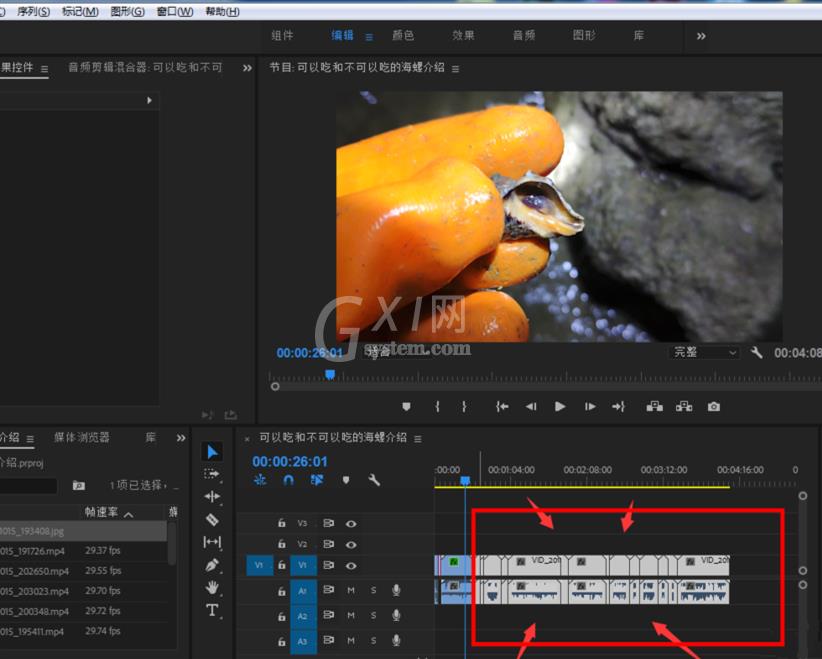 Premiere批量调整视频曝光度的简单使用教程截图