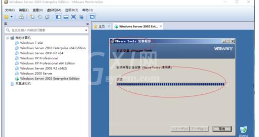 Windows Server 2003虚拟机安装VMware Tools的操作教程截图