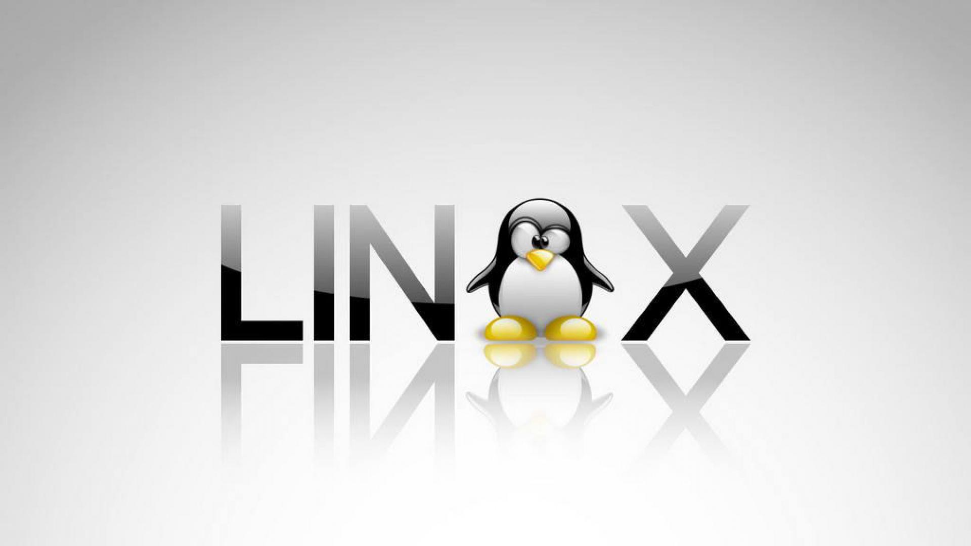 Linux文件系统的层次结构