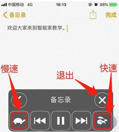 iphone11朗读屏幕的方法步骤截图